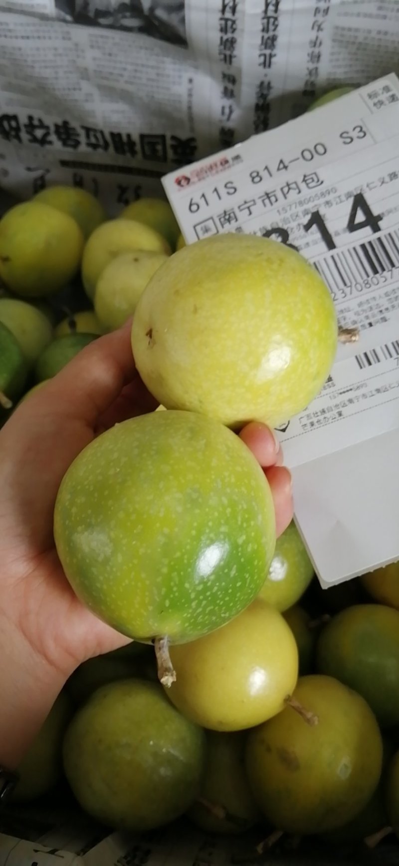 地球荔波绿宝石黄金百香果