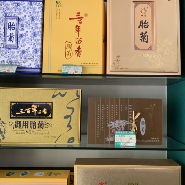 杭白菊