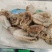 新鲜冷冻八带鱼