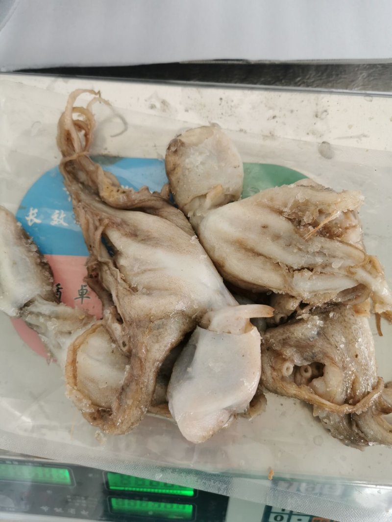 新鲜冷冻八带鱼