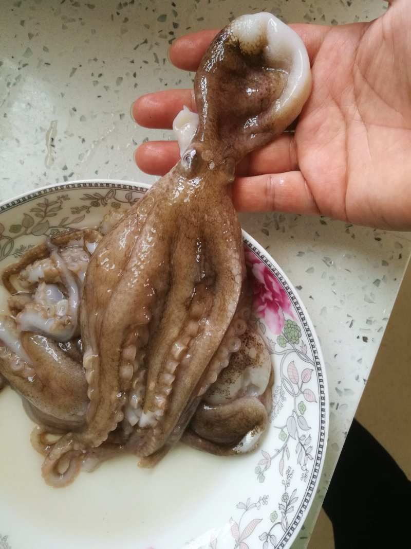 新鲜冷冻八带鱼