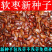 软枣软枣种子柿子种子柿子苗免费提供播种技术