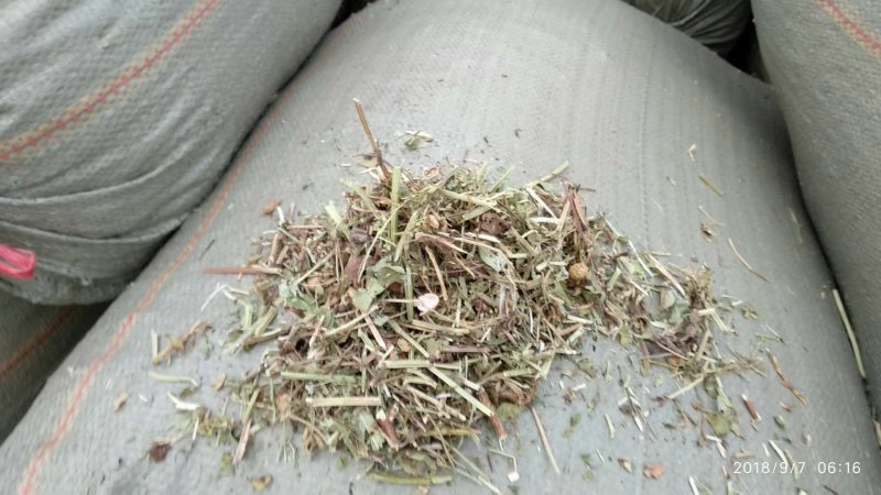 精品花生秧草料,细粉无土无霉草场直供牛羊马兔草