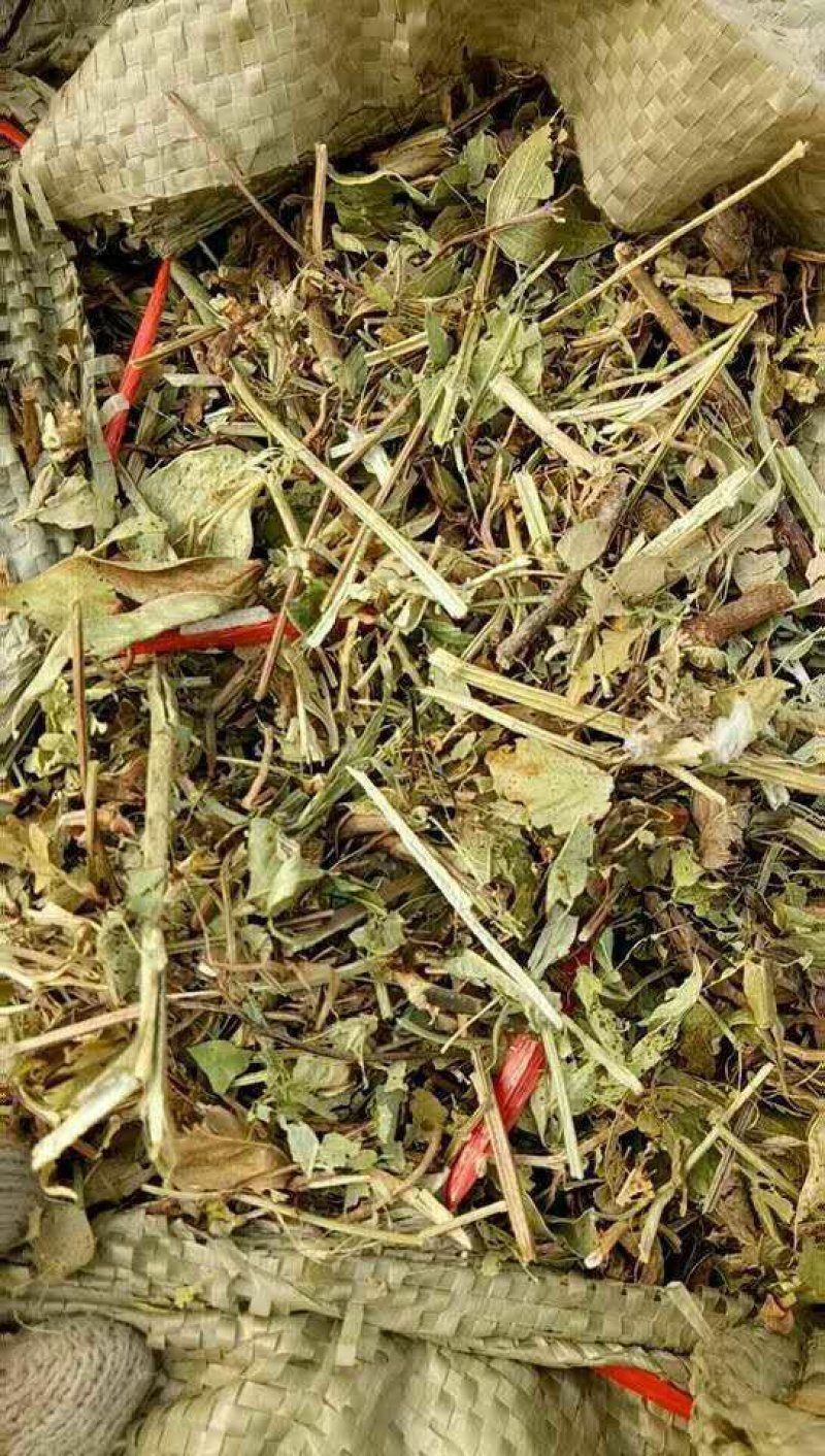 精品花生秧草料,细粉无土无霉草场直供牛羊马兔草