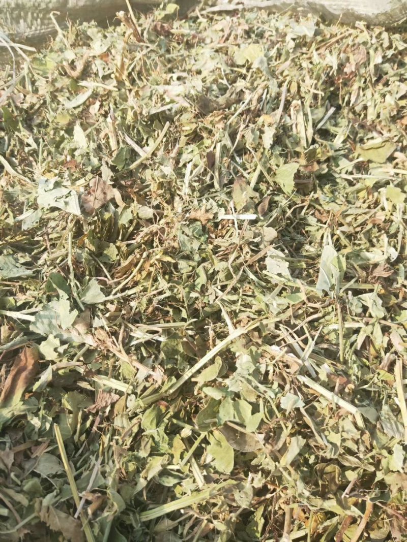 精品花生秧草料,细粉无土无霉草场直供牛羊马兔草