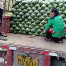 扁包菜