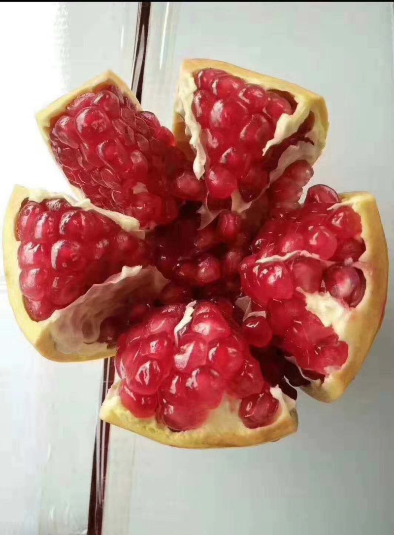 永胜突尼斯软籽石榴