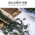 2019年新货绞股蓝茶七叶正品野生胶股蓝特级平