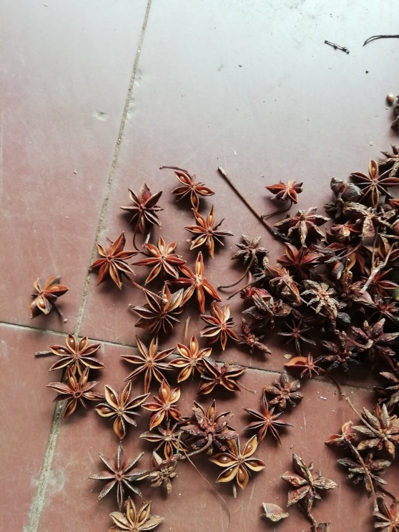 水汤无硫足干八角产地直销