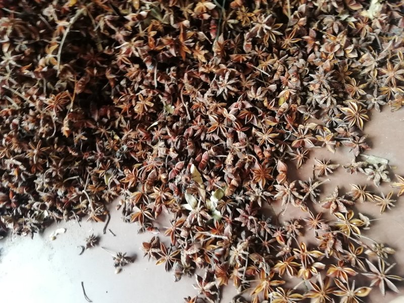 水汤无硫足干八角产地直销