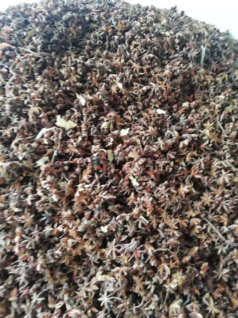 水汤无硫足干八角产地直销