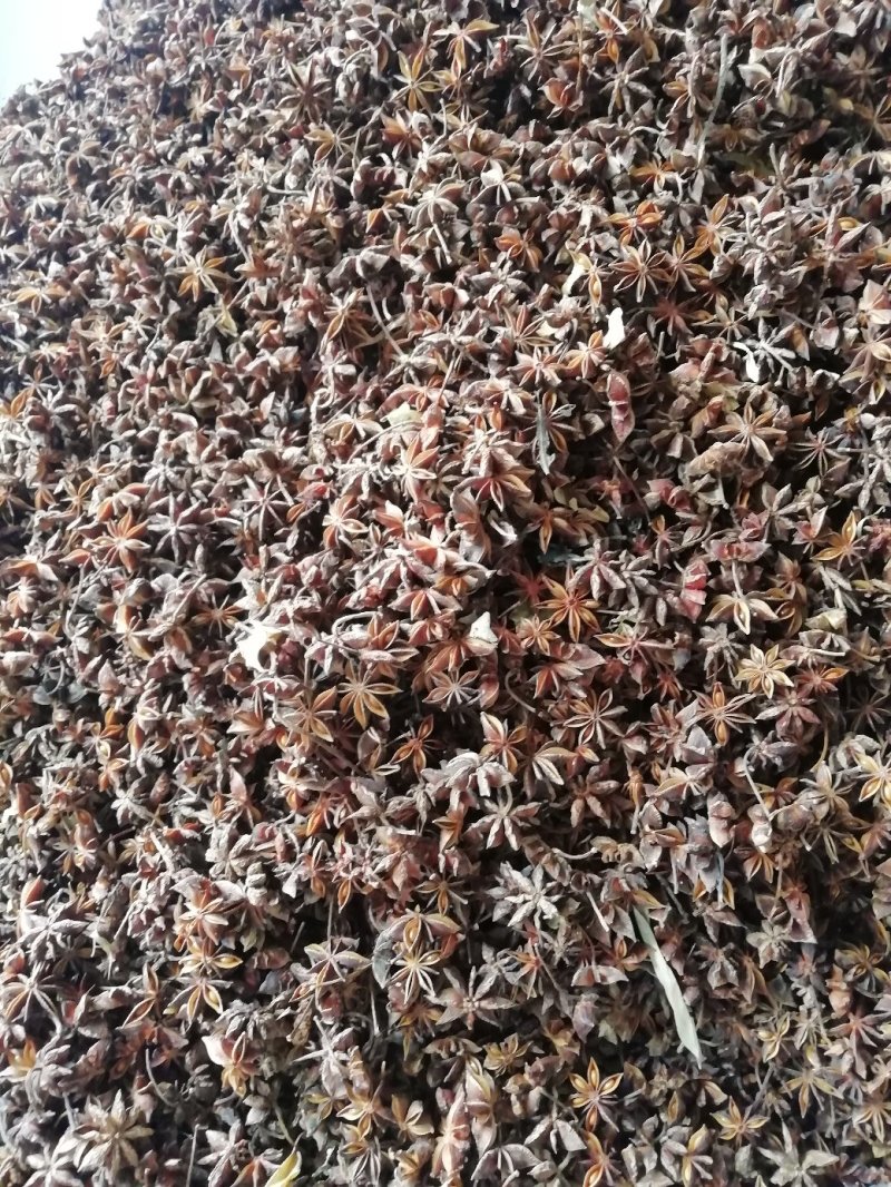 水汤无硫足干八角产地直销