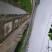 青蛙养殖场