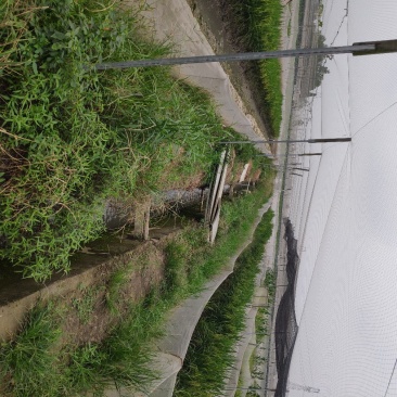 青蛙养殖场
