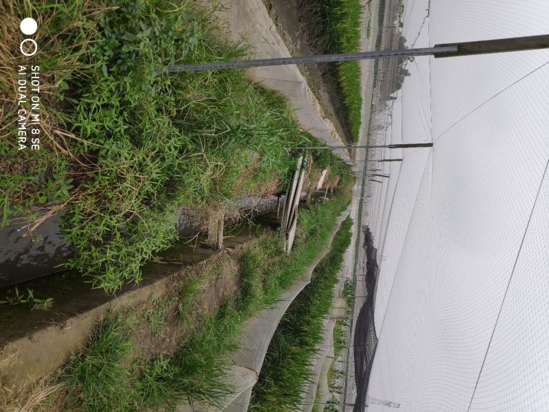 青蛙养殖场