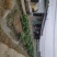 青蛙养殖场
