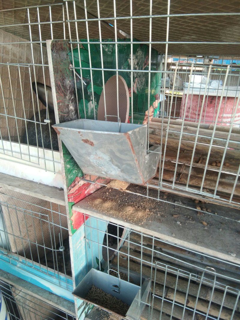 兔笼