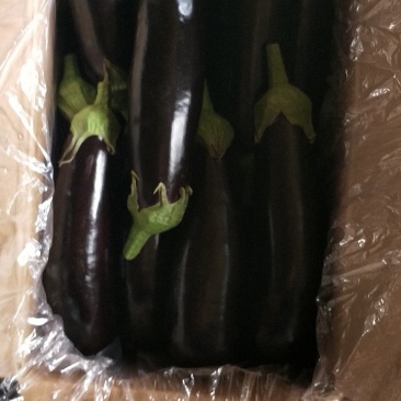 紫茄子