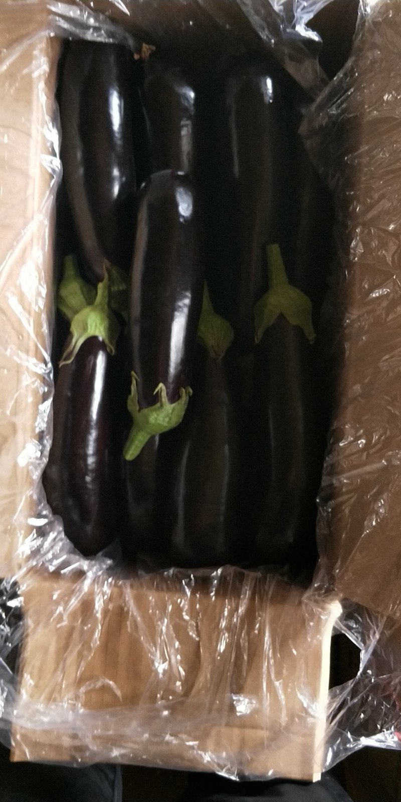 紫茄子