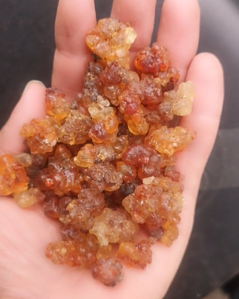 云南桃胶食用天然桃胶桃花泪500克雪莲子雪燕搭配