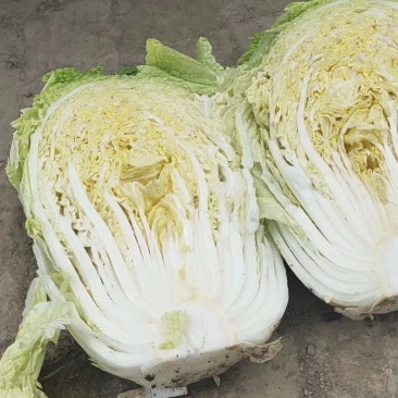 东北玲珑黄大量上市。有需要的请联系我。保质保量。