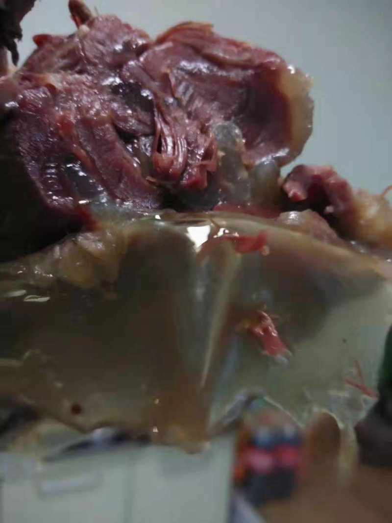 驴肉，真驴肉，贵驴肉，生熟驴肉，保证纯驴肉，有假欢迎举报