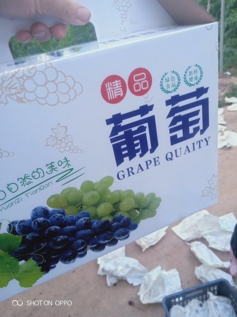 葡萄