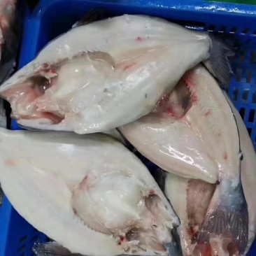 国产开背巴沙鱼