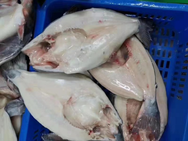 国产开背巴沙鱼