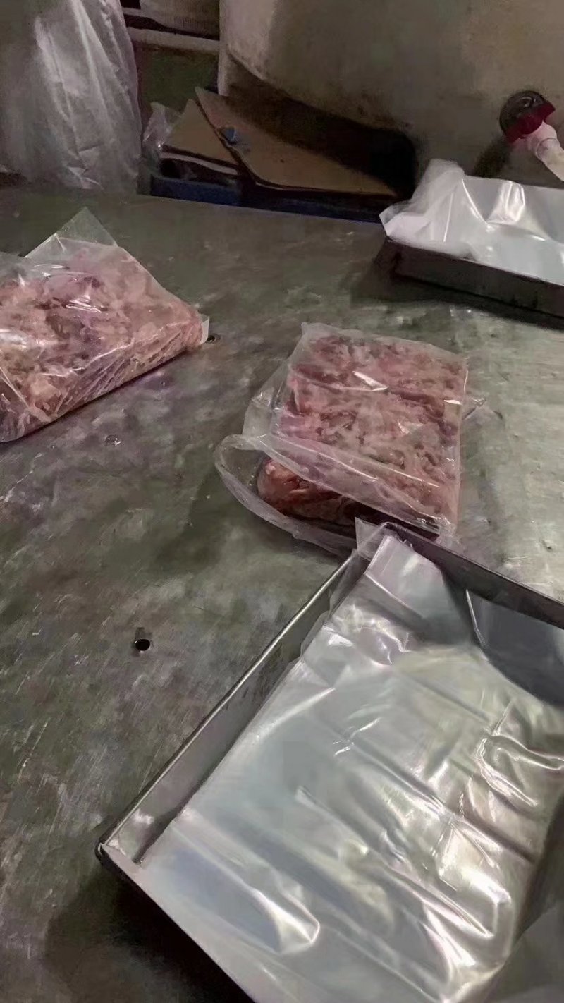 巴沙鱼鱼泡