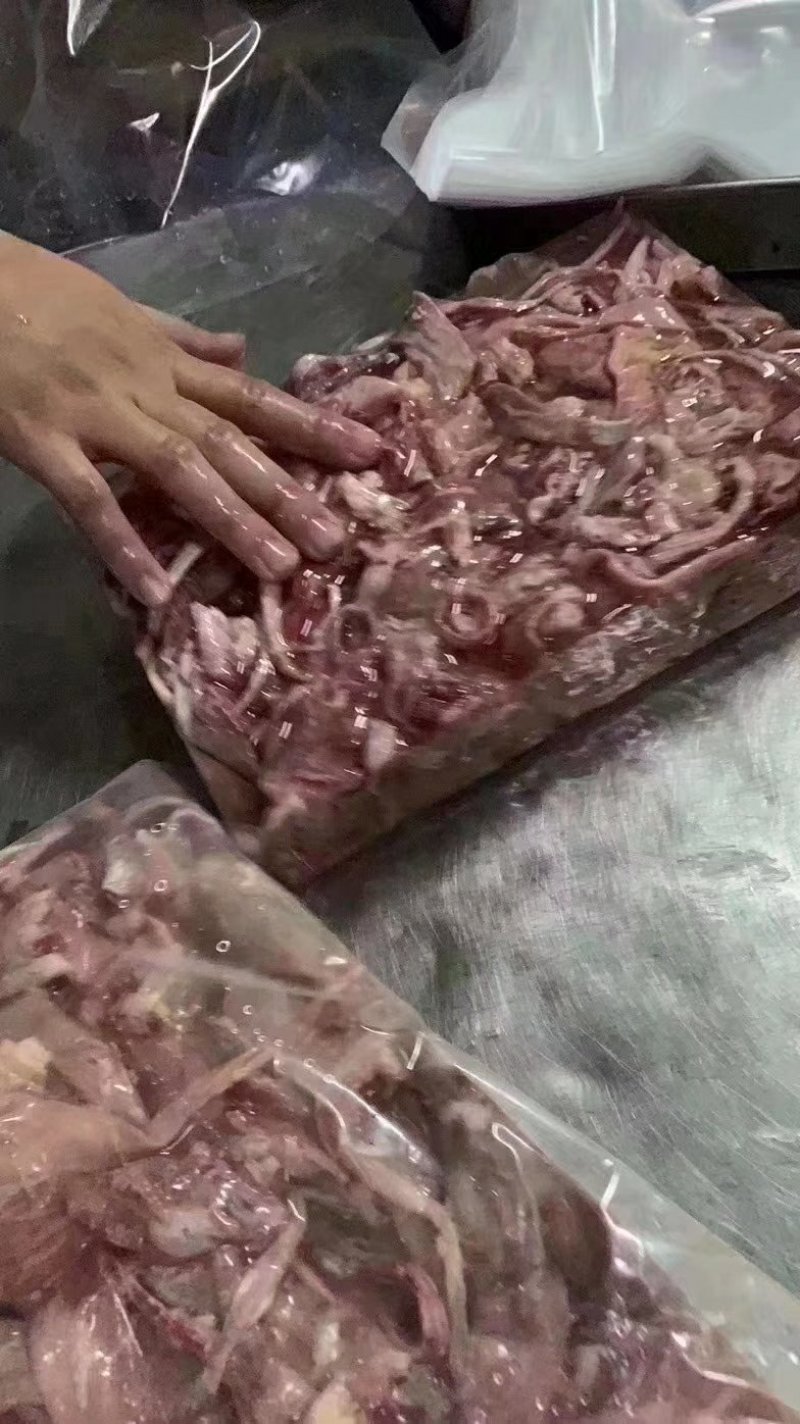 巴沙鱼鱼泡