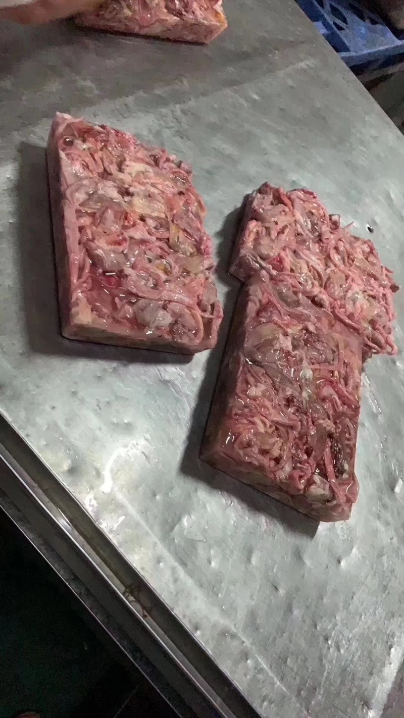 巴沙鱼鱼泡