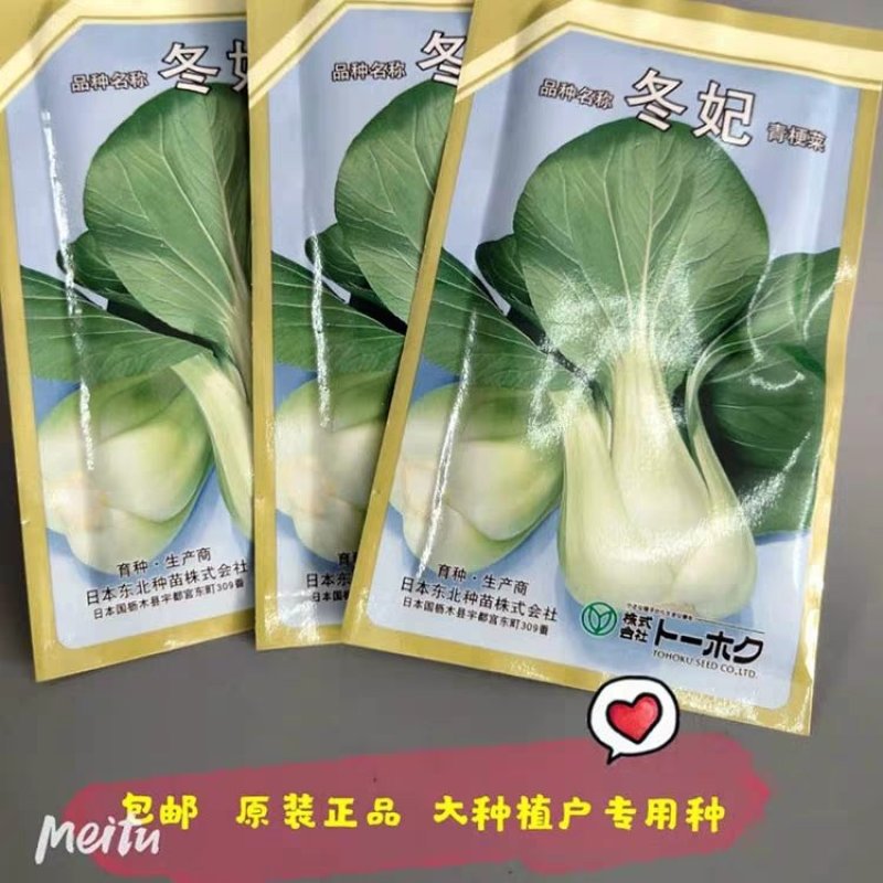 农播王冬妃青梗菜种子进口种F1耐寒抗冻梗肥厚10克