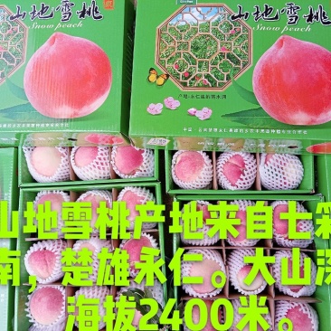 七彩云南楚雄永仁县维的乡农丰果蔬种植专业合作社