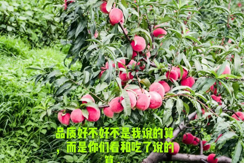 七彩云南楚雄永仁县维的乡农丰果蔬种植专业合作社