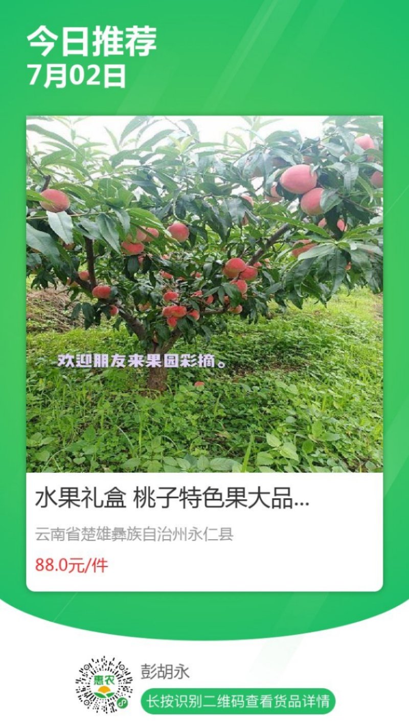 七彩云南楚雄永仁县维的乡农丰果蔬种植专业合作社