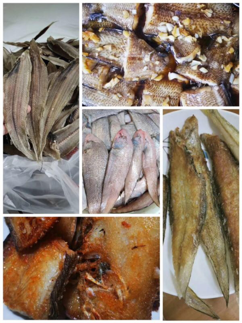 新鲜龙利鱼每天上货的