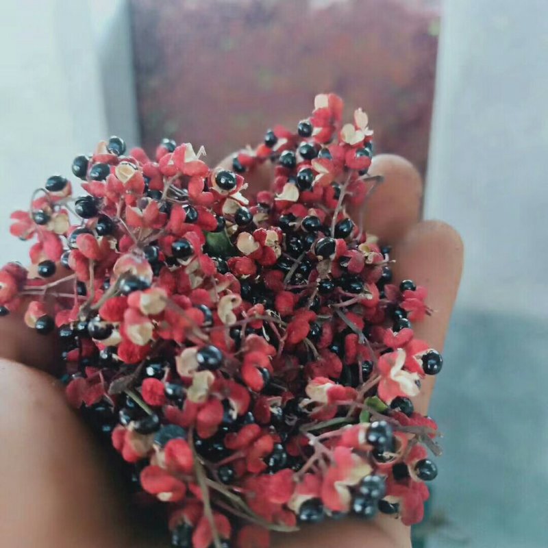 韩城大红袍花椒，品质保证，产地货源，质量保证！