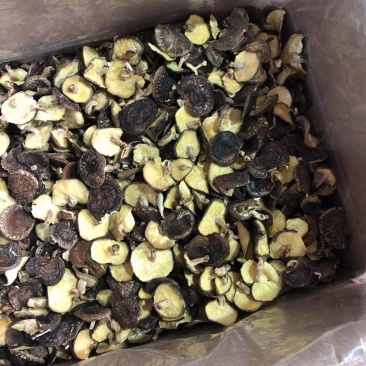 天然树子香菇