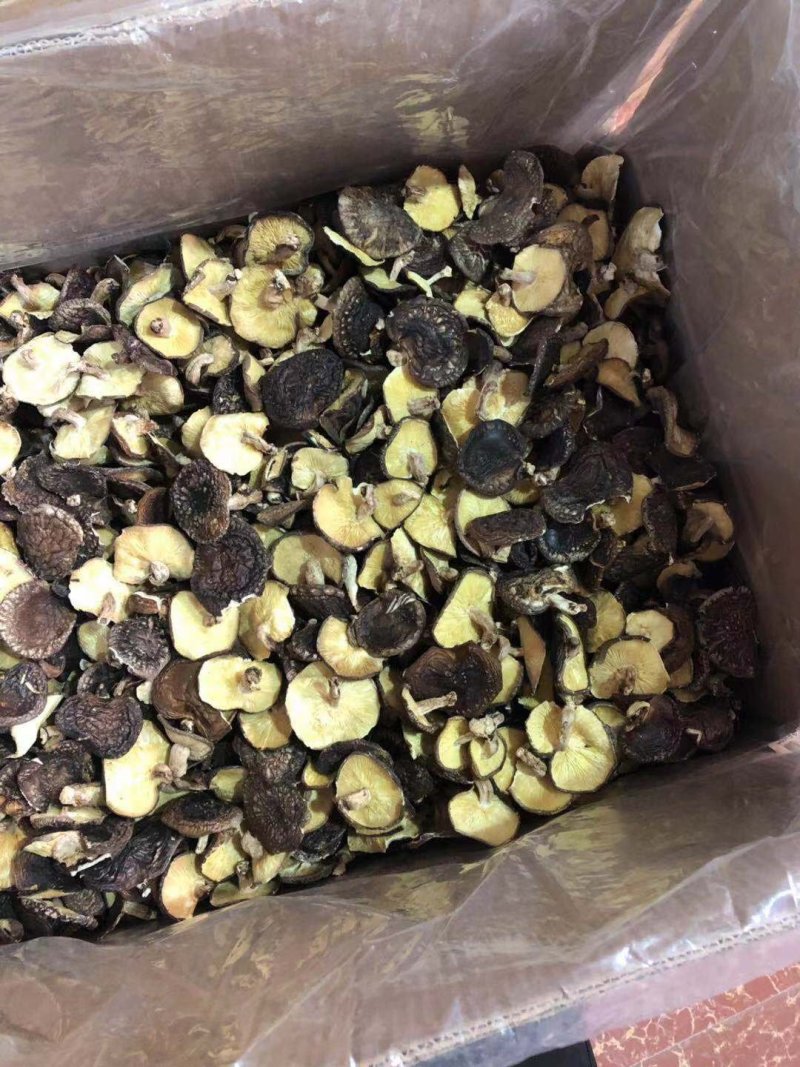 天然树子香菇