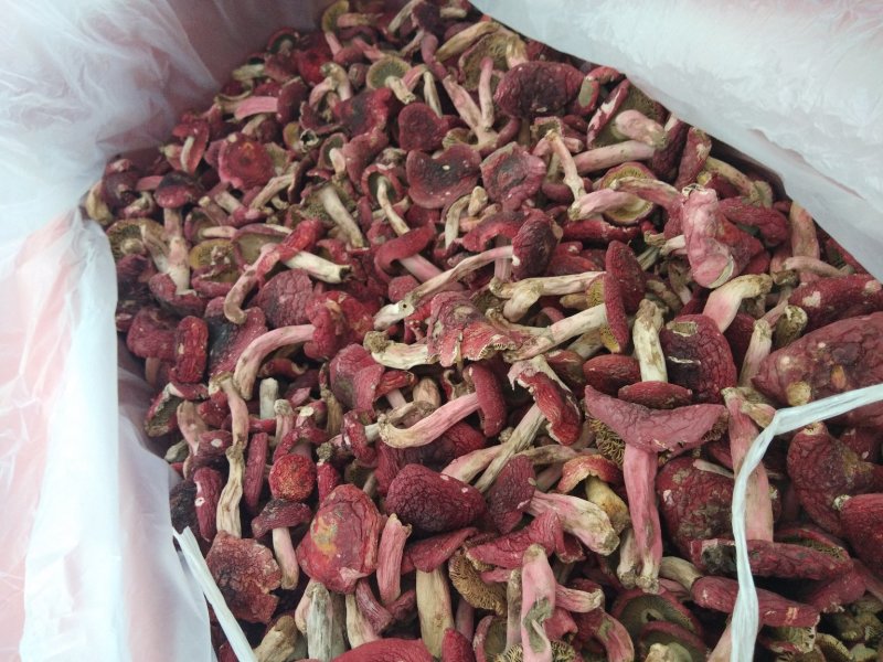 正红标红菇