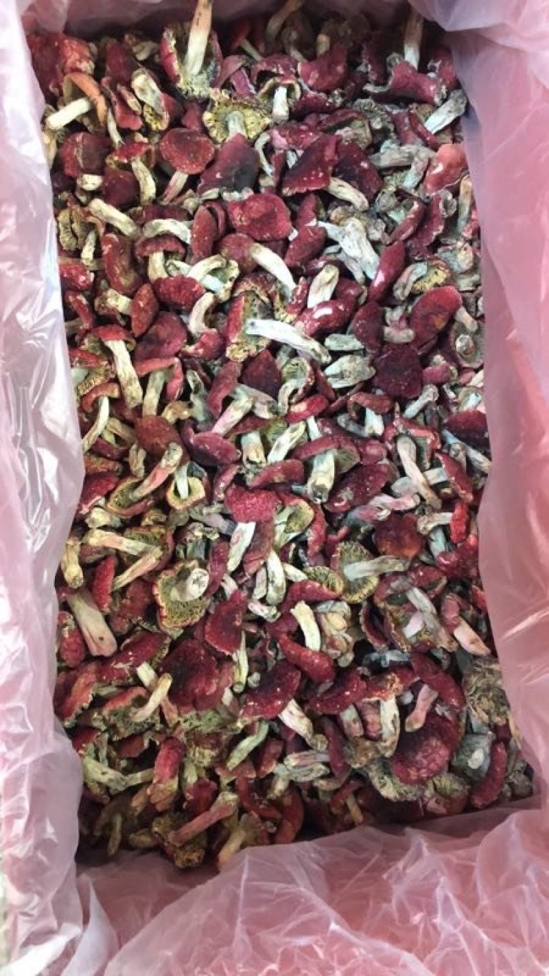 正红标红菇
