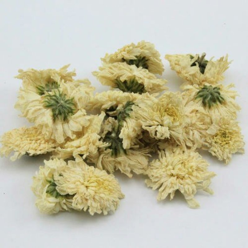 菊花千余品种供应承接订单