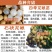 龙眼树苗石硖苗储良龙眼四季双季龙眼苗带泥球发货