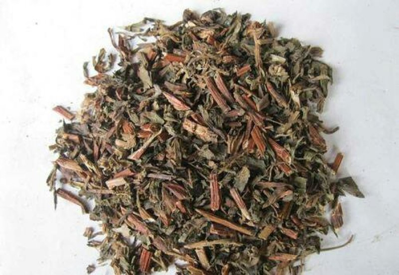 景天三七千余品种供应承接订单
