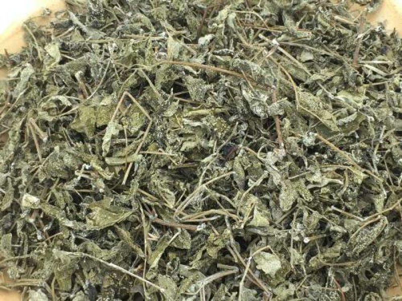 溪黄草千余品种供应承接订单