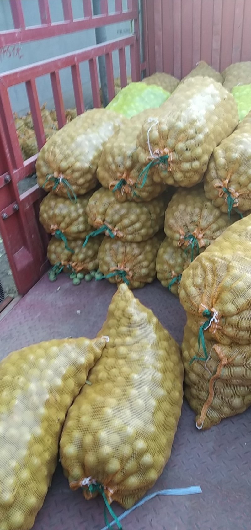 核桃，辽一