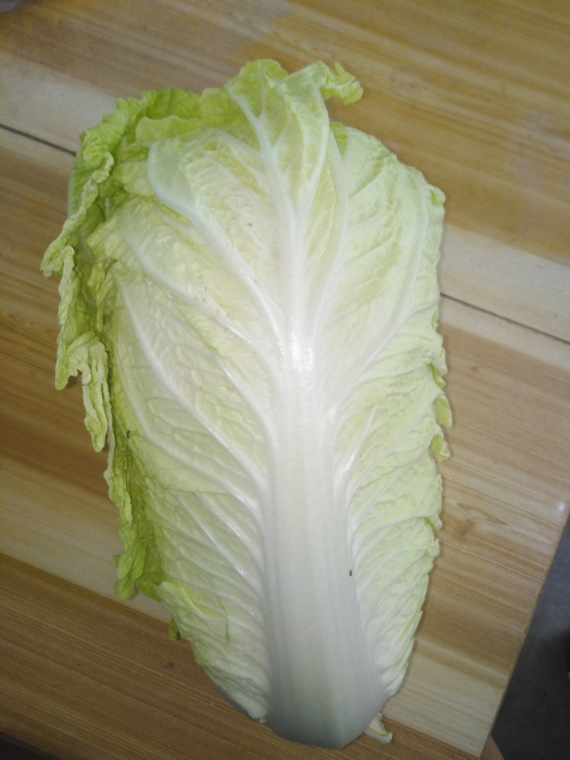义和秋黄心大白菜
