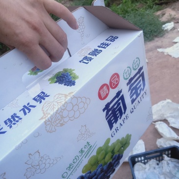 葡萄