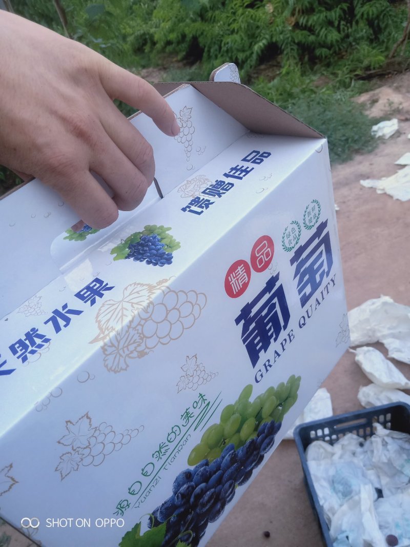 葡萄